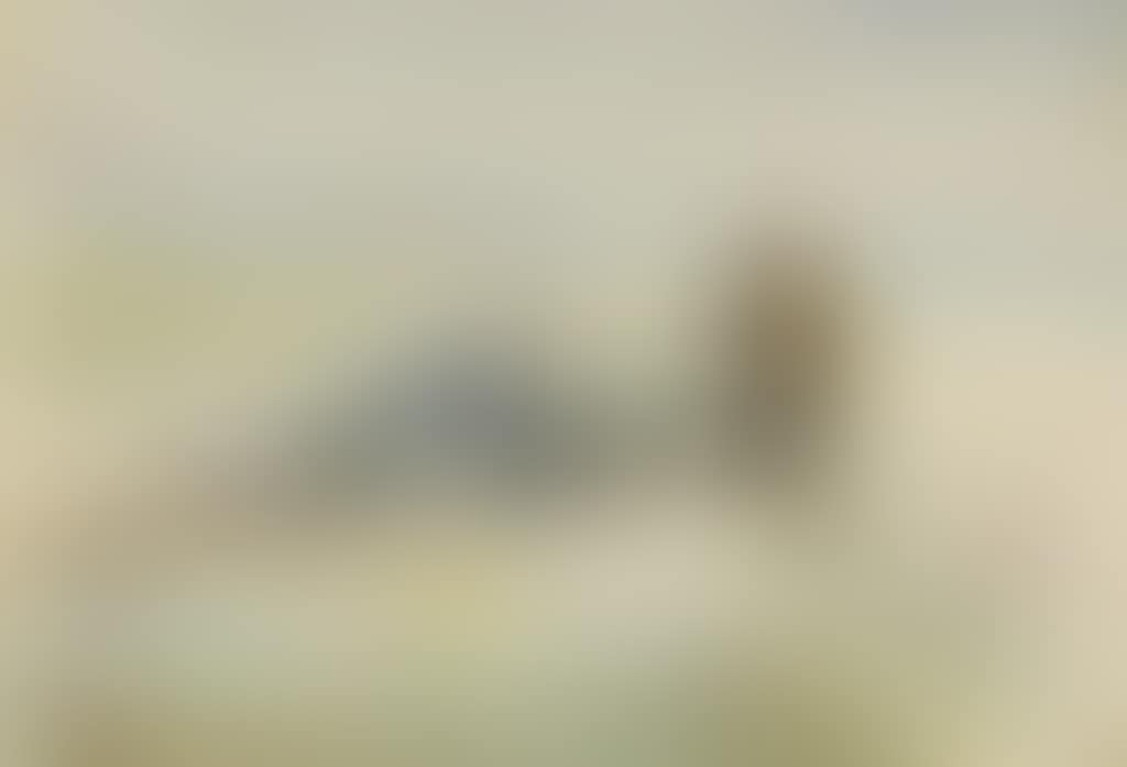 Homme étendu (preview)