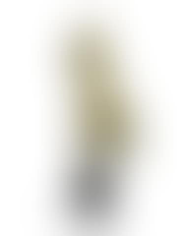 Hermaphrodite (preview)