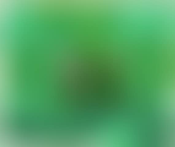 Window (preview)