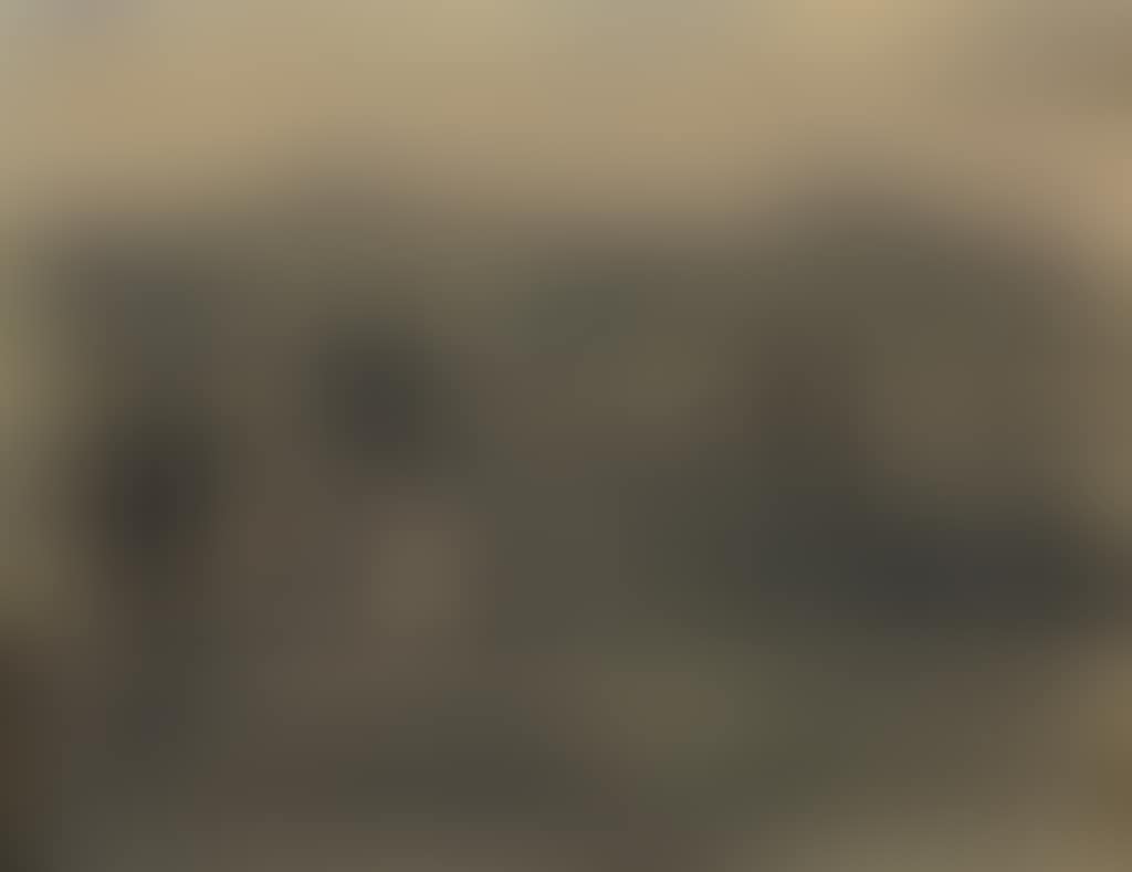 Paysage (preview)