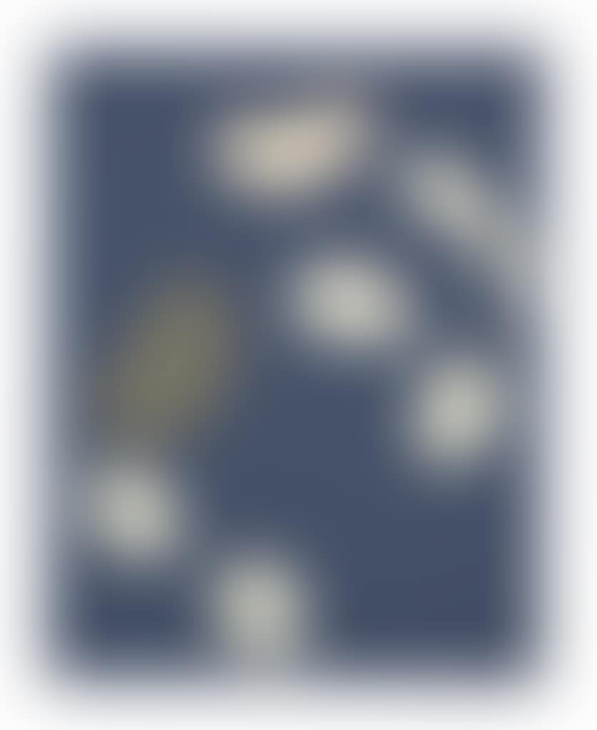 Constellation (preview)