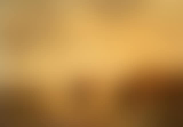 An extensive river landscape with a bridge (preview)