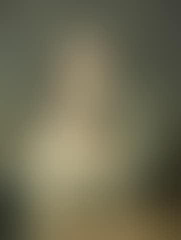 Portrait of a lady, traditionally identified as Frances Jane Gore, half-length, in a white dress and blue sash (preview)