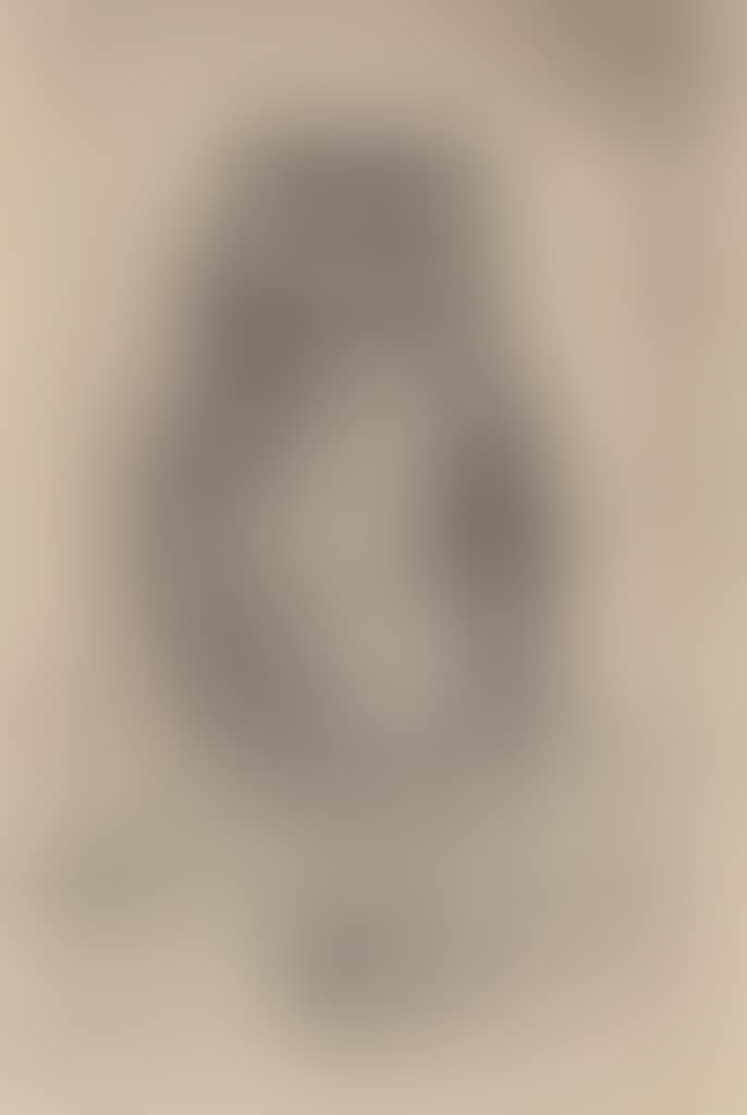 Hibou (preview)