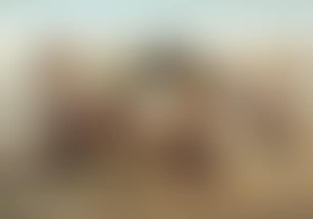 Women along a beach (preview)