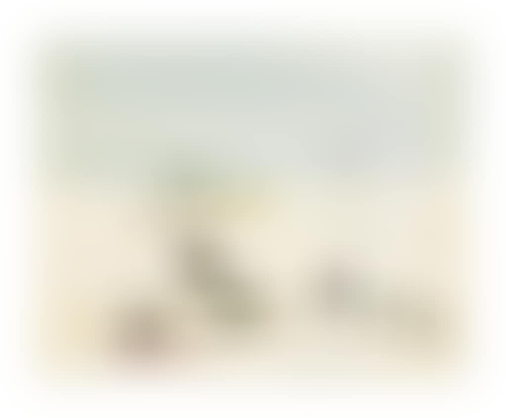 Long White Cloud (preview)