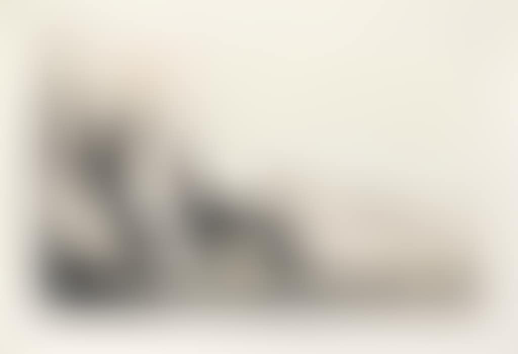COURSING II (preview)