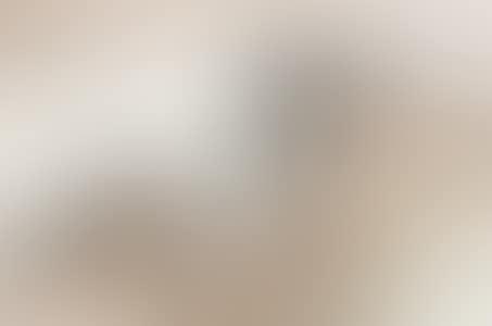 LANDSCAPE (preview)