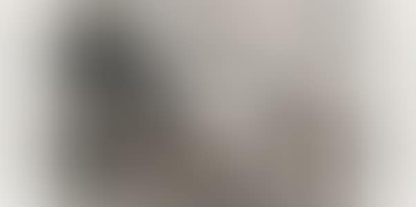 LANDSCAPE (preview)