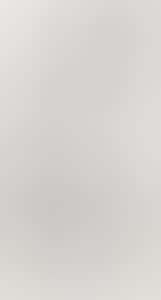 CALLIGRAPHY COUPLET IN RUNNING SCRIPT (preview)