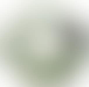 EGRETS (preview)