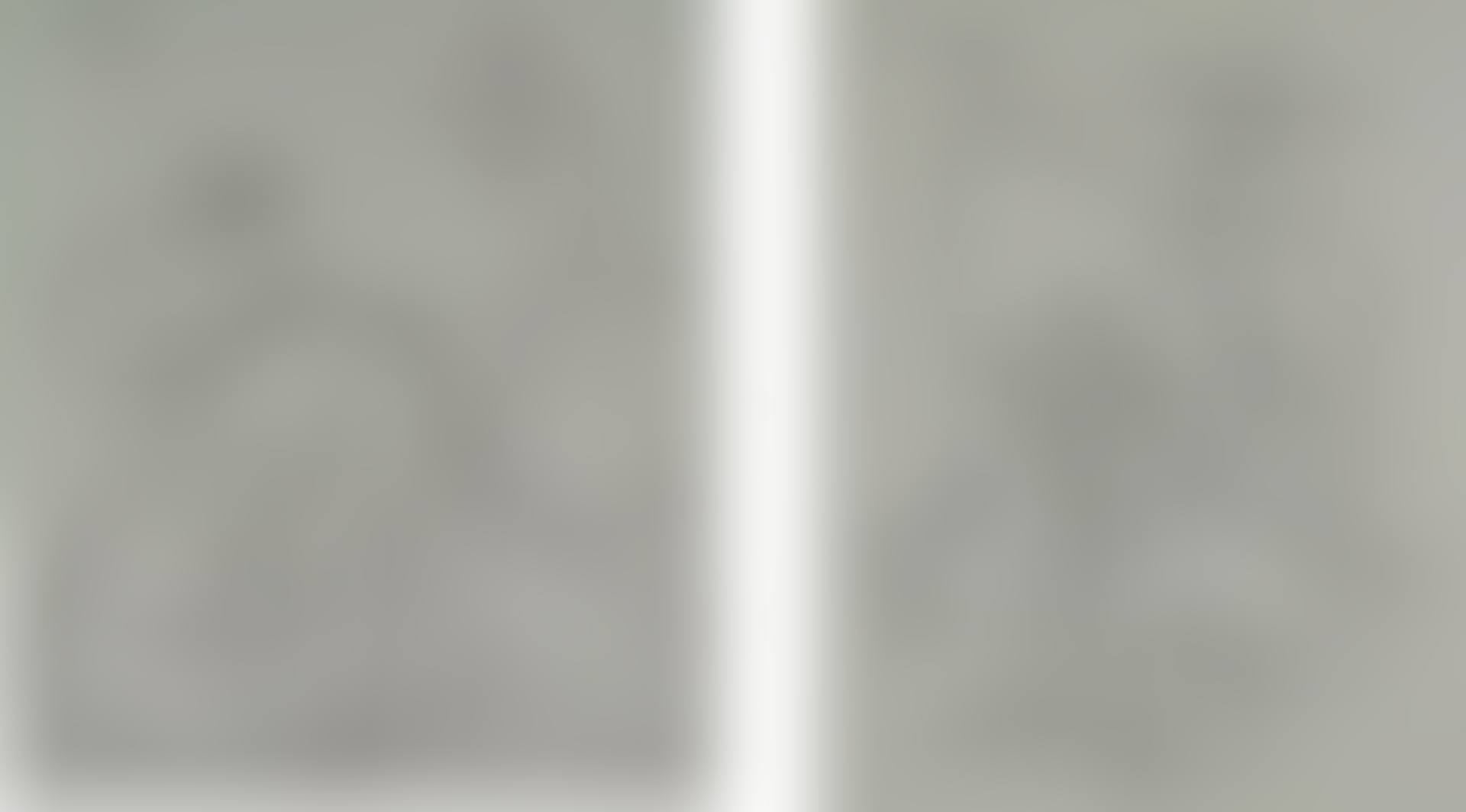 UNTITLED (COUPLE); UNTITLED (COUPLE WITH JEWELRY) (preview)