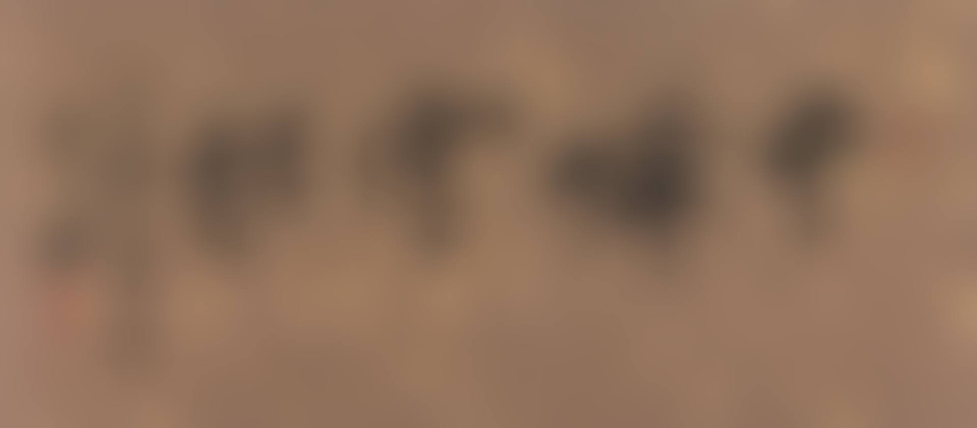 CALLIGRAPHY IN RUNNING SCRIPT (preview)