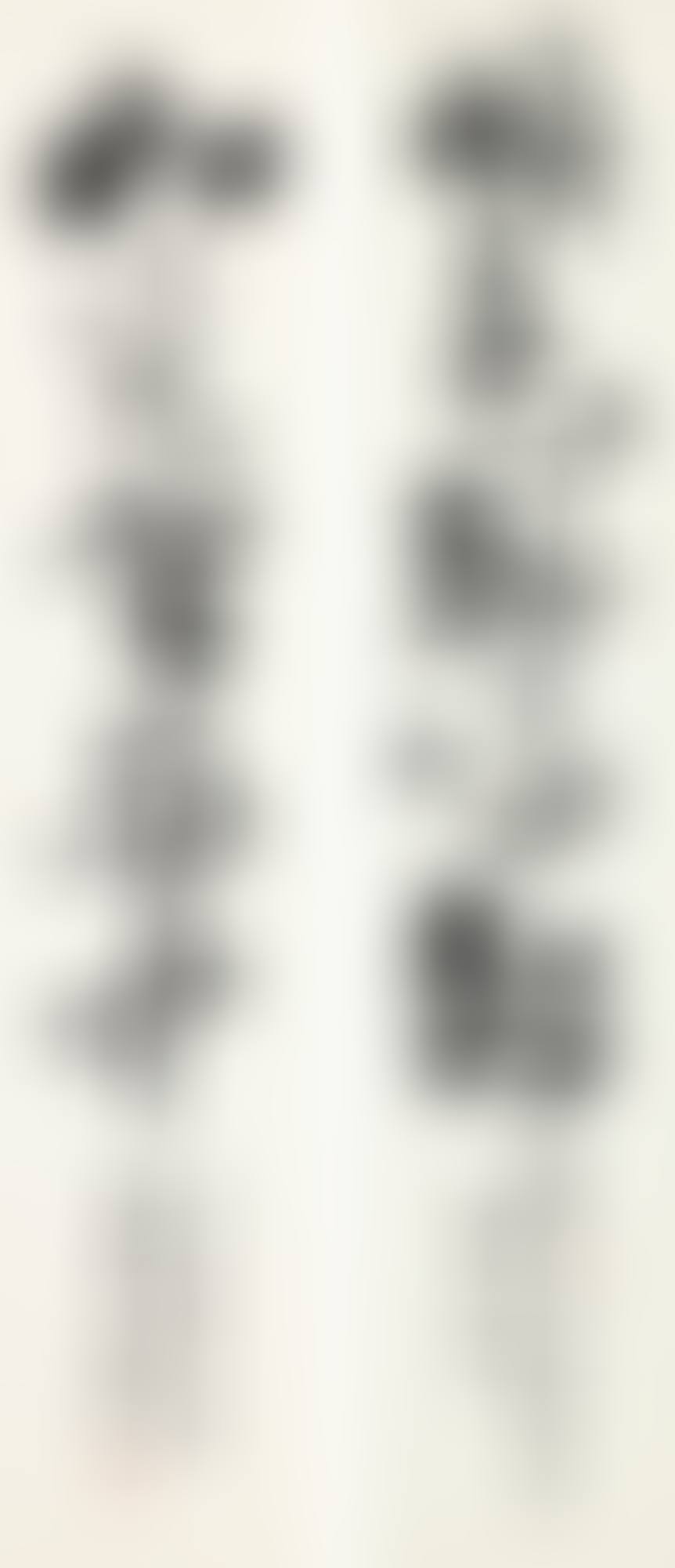 CALLIGRAPHY COUPLET IN RUNNING SCRIPT (preview)