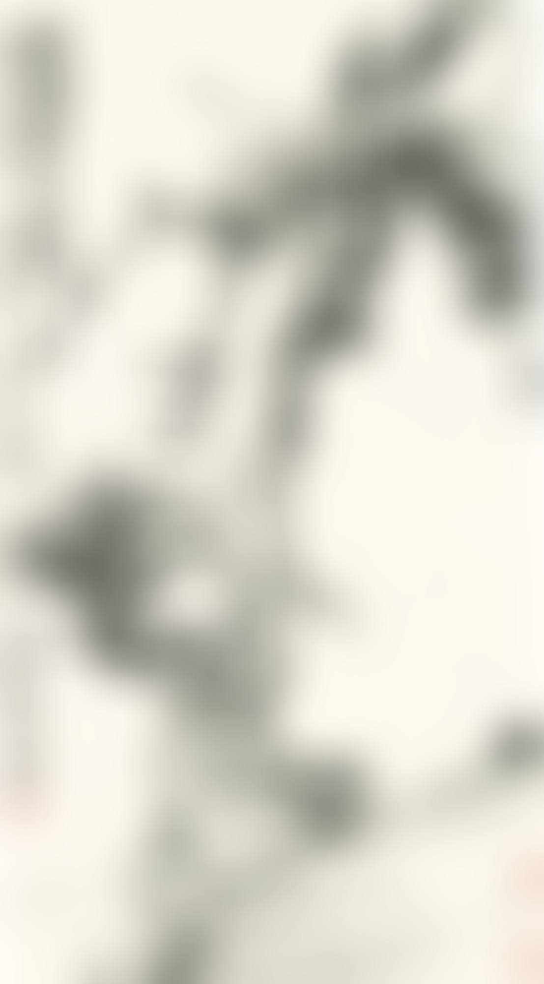 PINE TREE (preview)