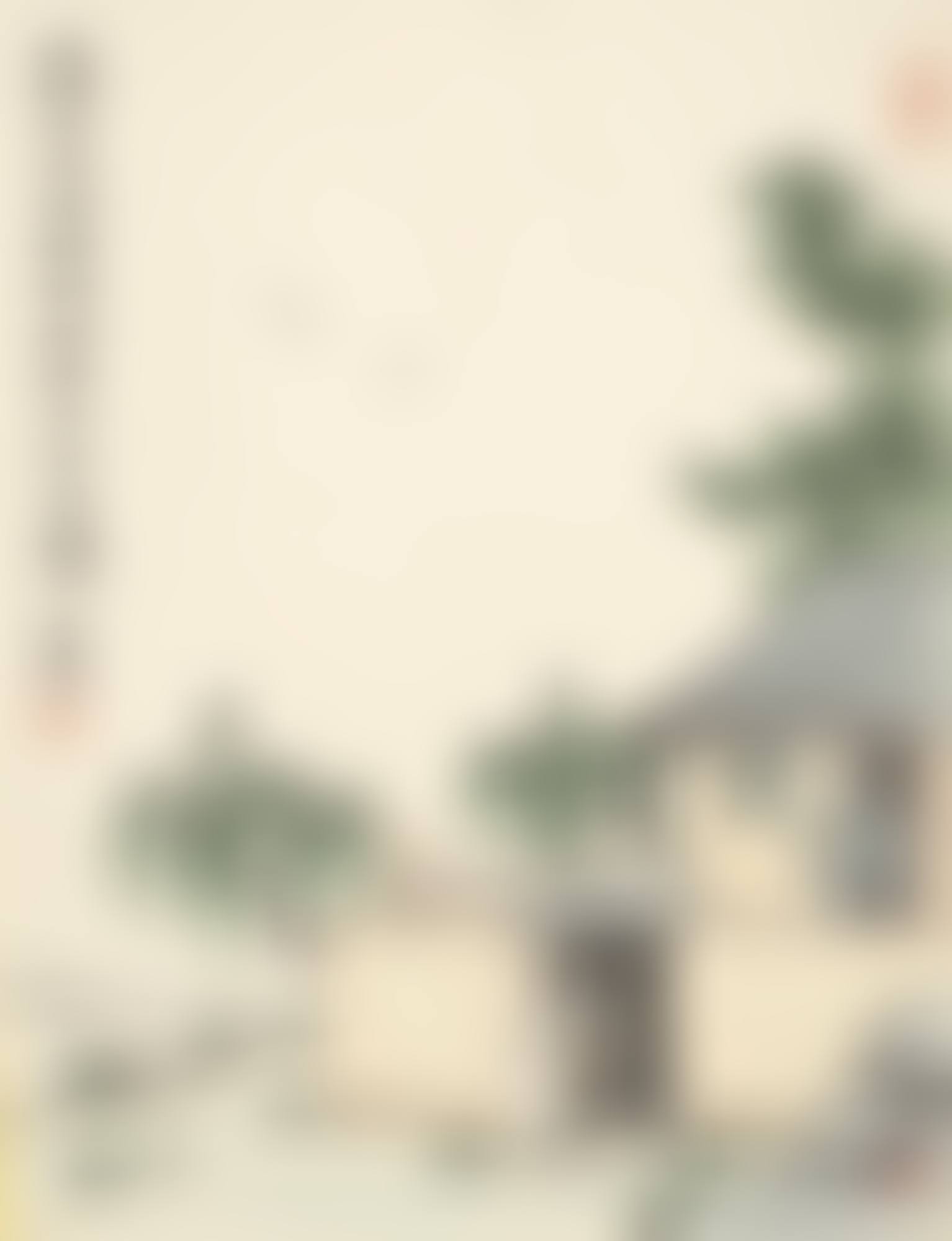 MORNING VISIT (preview)