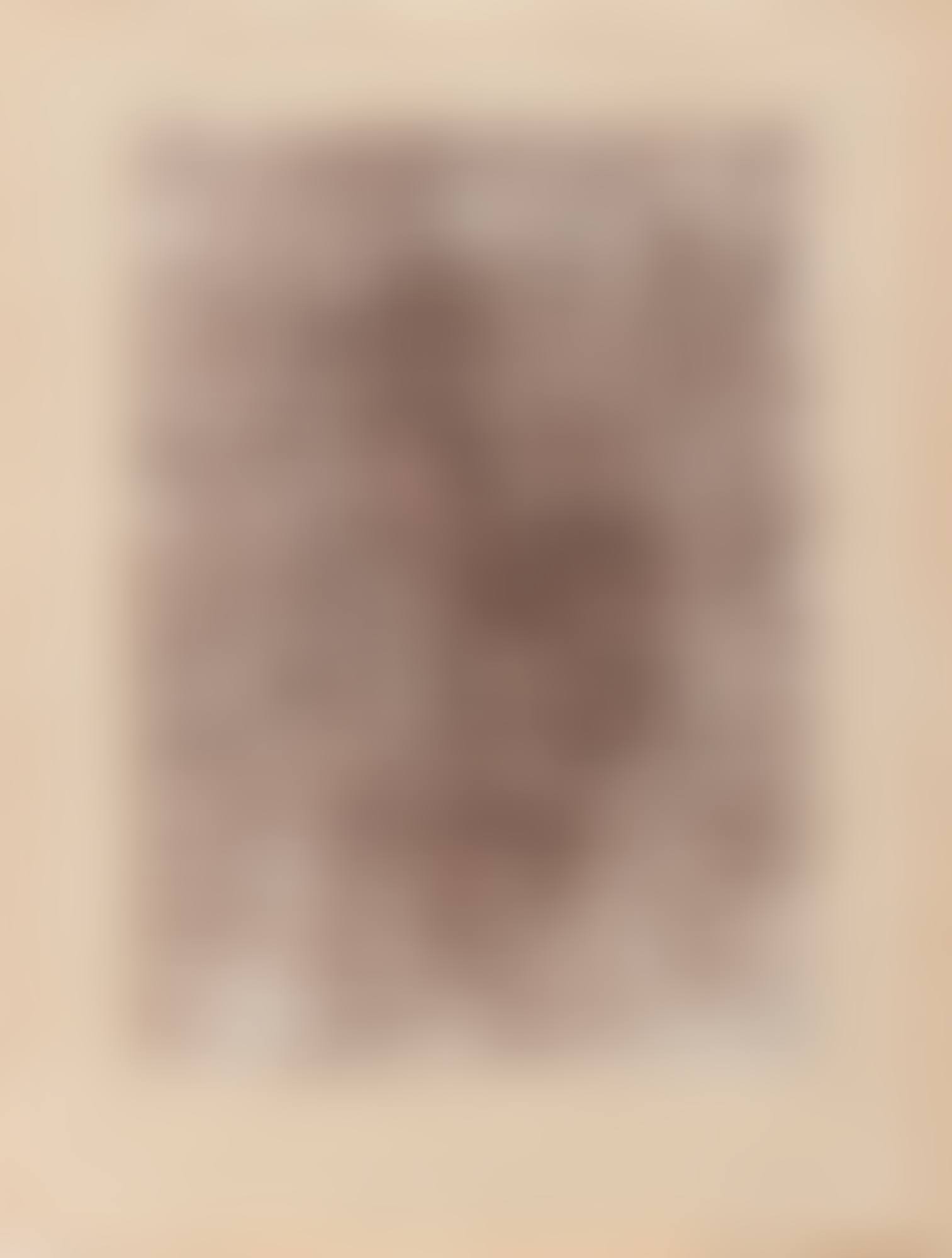 STEINWÃSTE (STONE DESERT) (preview)