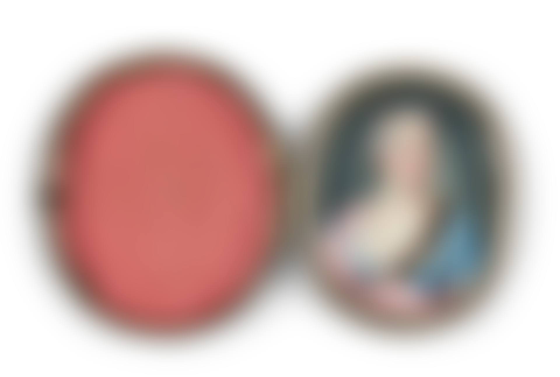 PORTRAIT OF A LADY (preview)