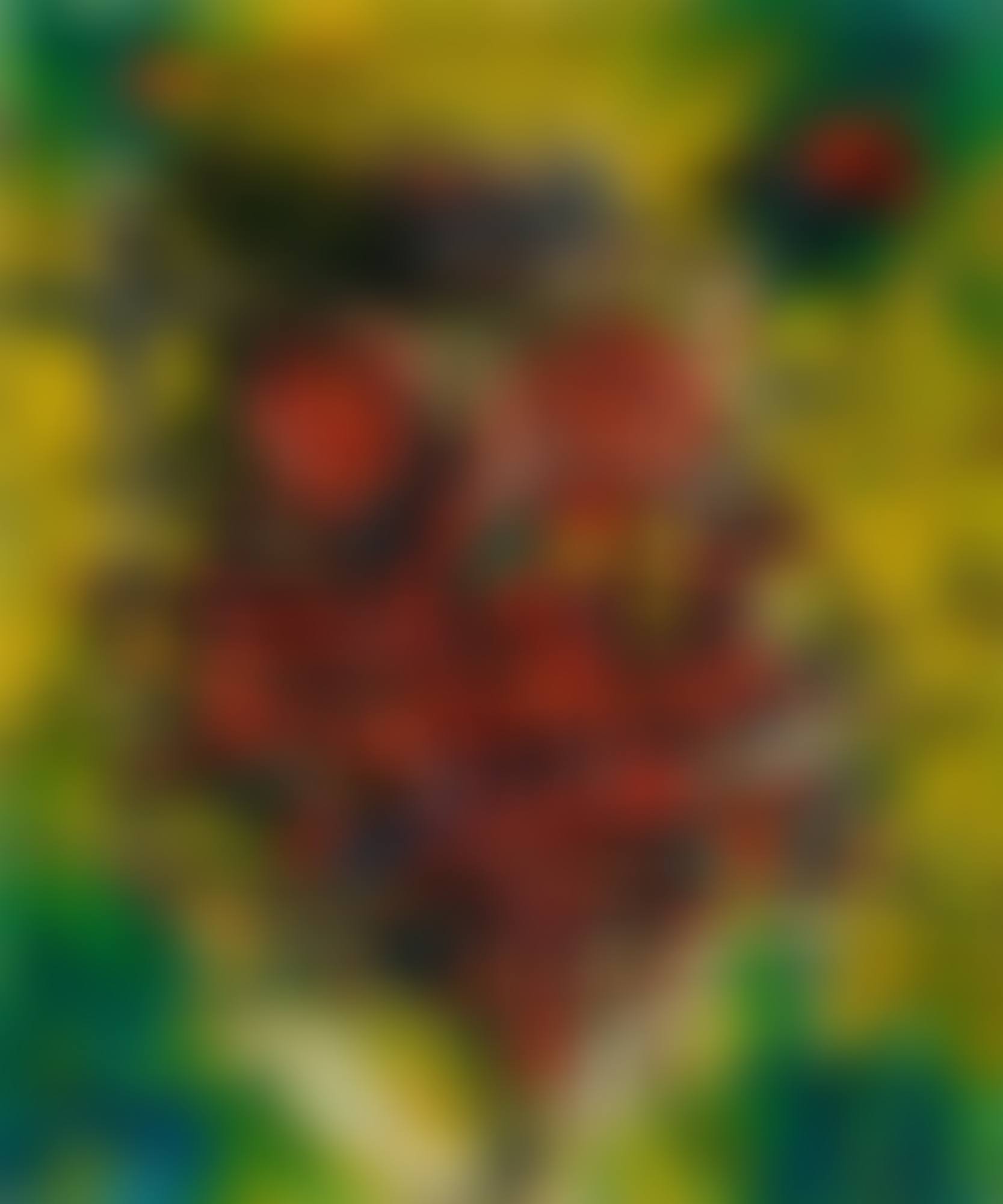 COMPOSITION (preview)