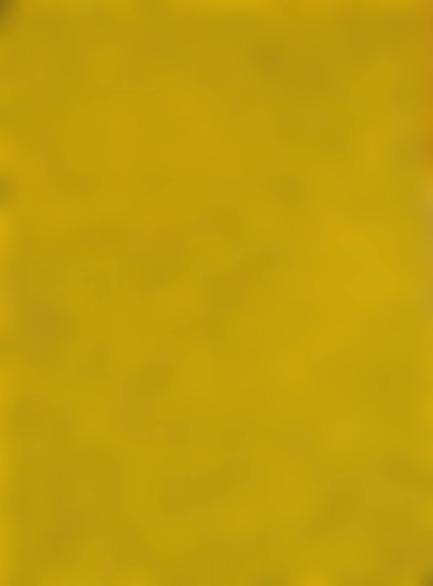 NET-NO.2 YELLOW (preview)