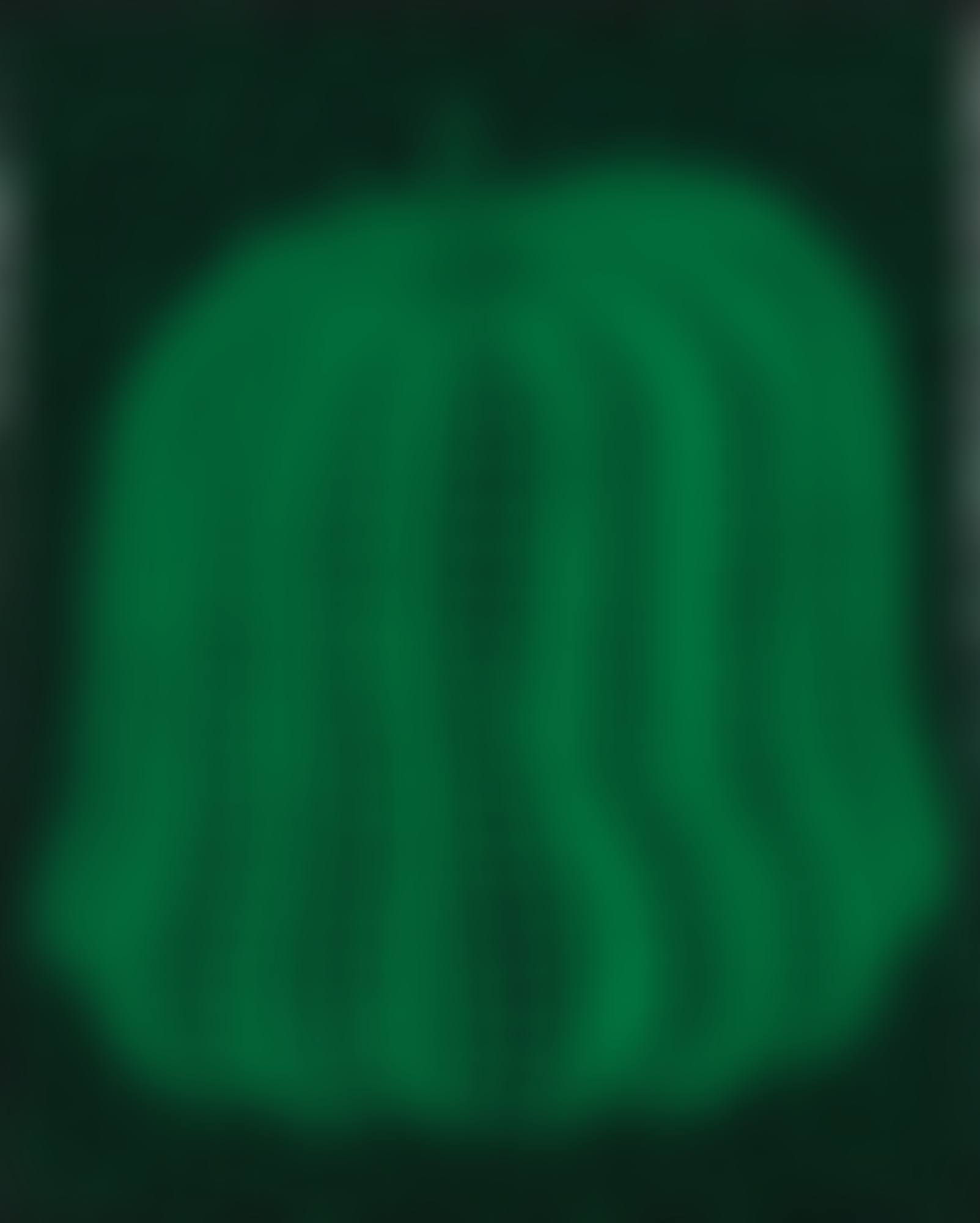 PUMPKIN GREEN (preview)