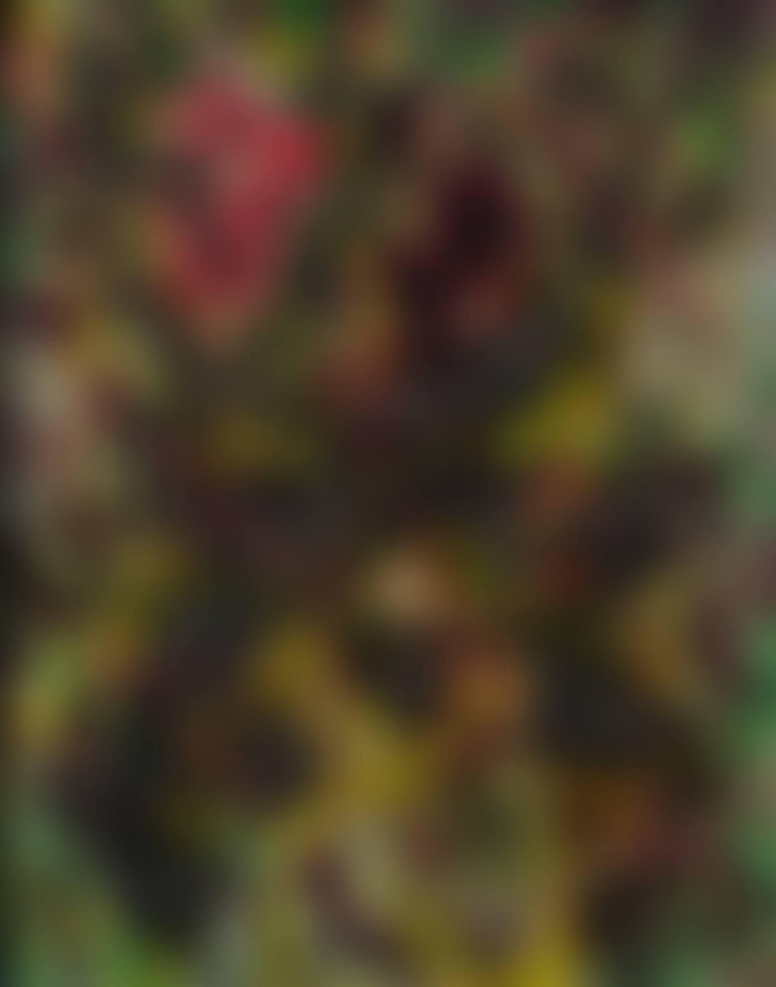 WORK (preview)