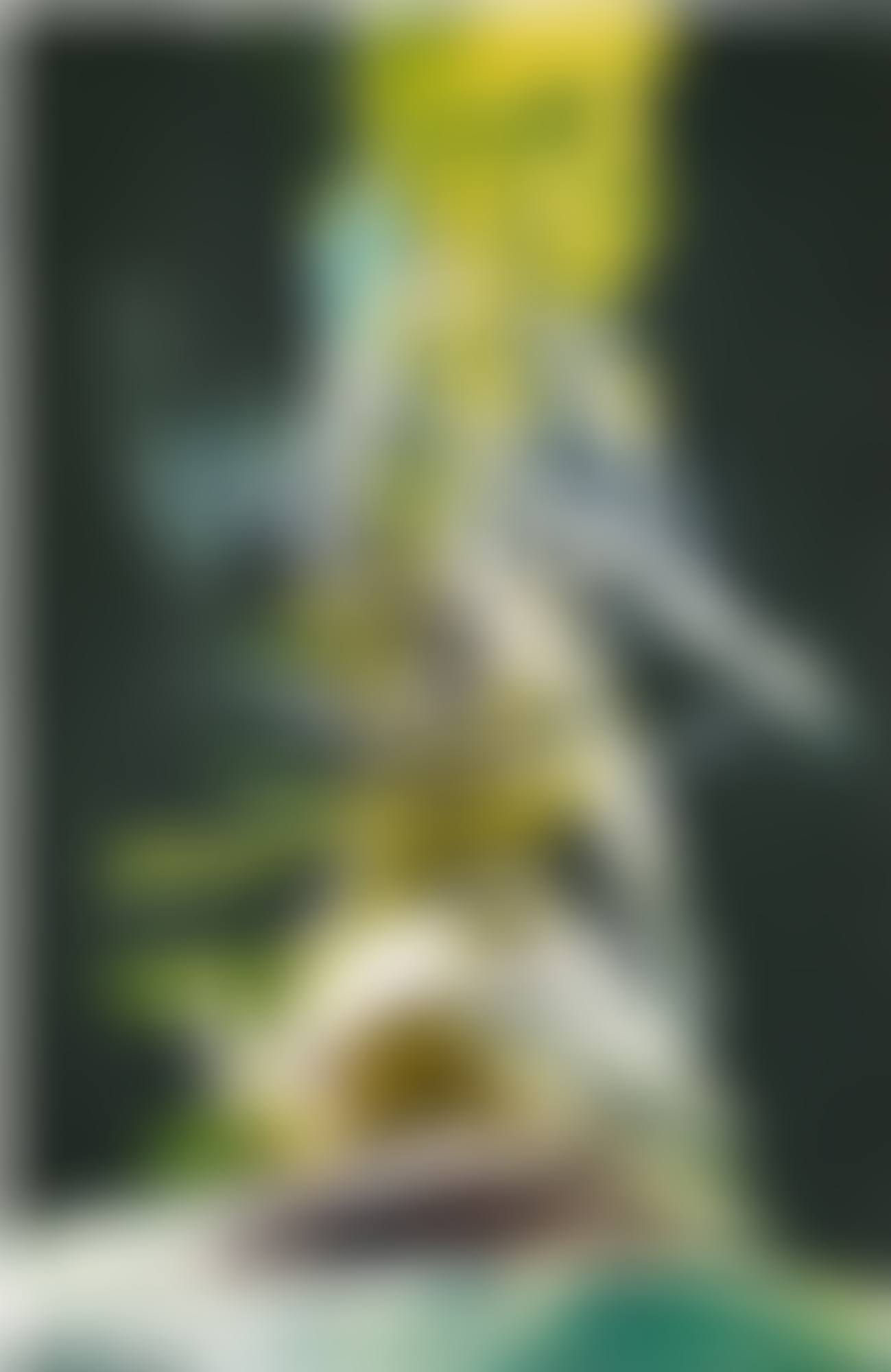 UNTITLED (preview)