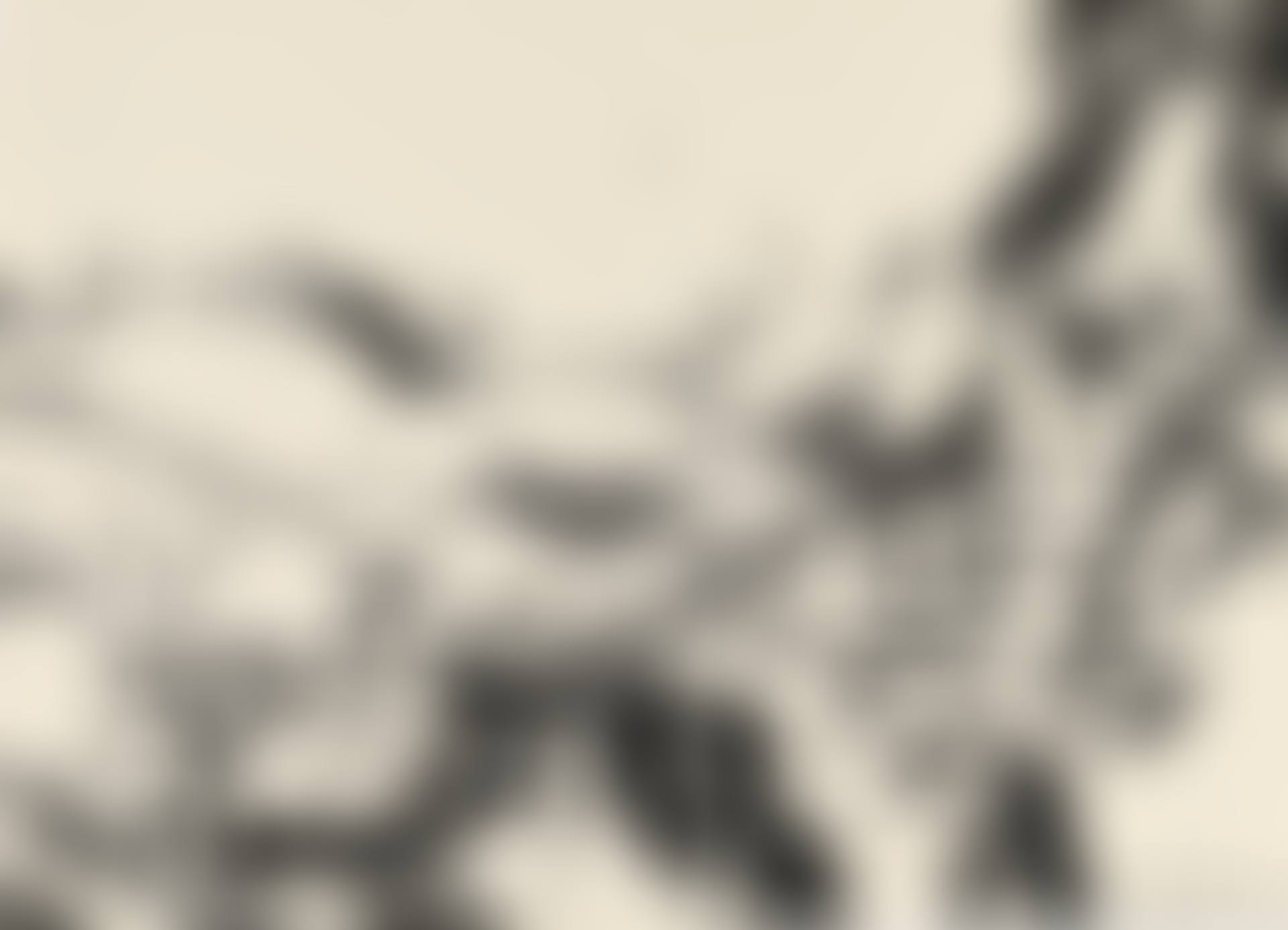 UNTITLED (preview)