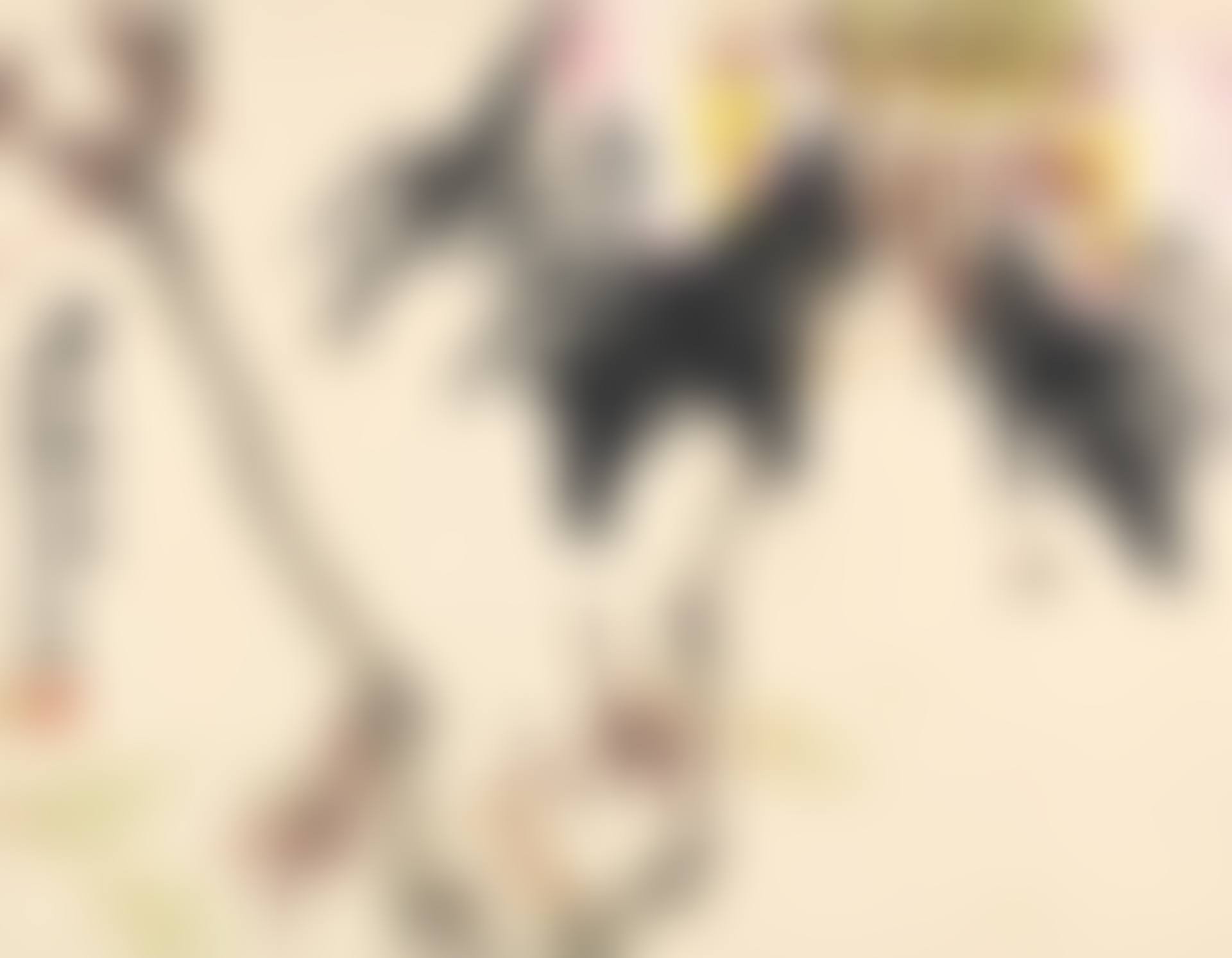 HIBISCUS AND INSECT (preview)