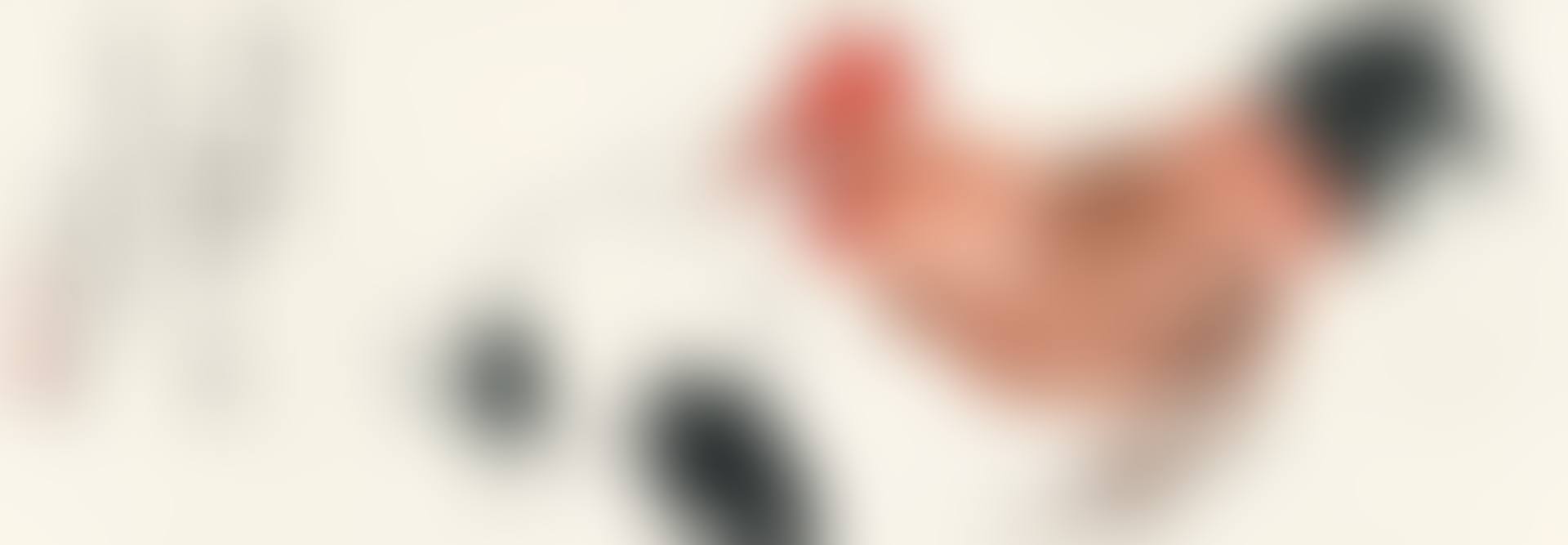 FAMILY OF CHICKENS (preview)