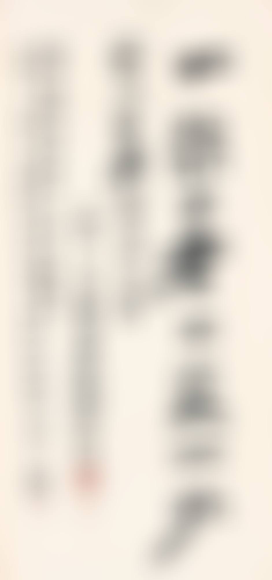 MOTTO IN XINGSHU (preview)