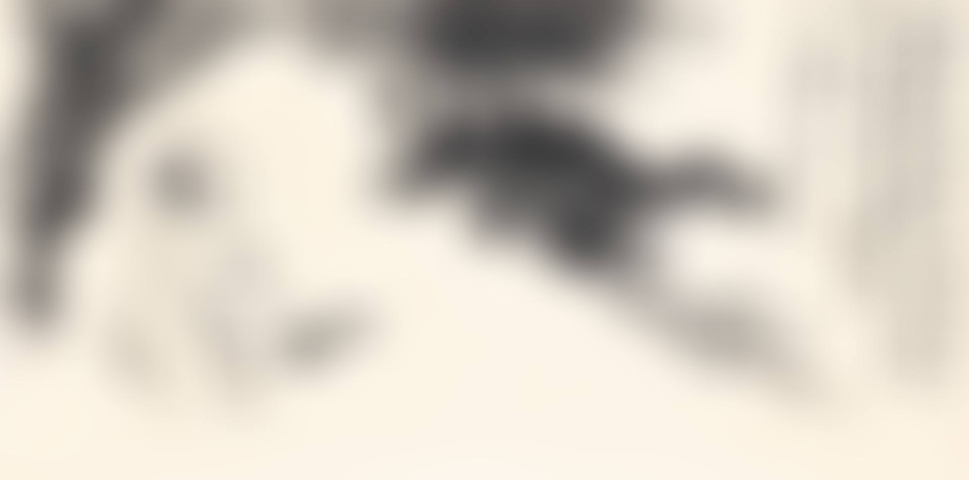 SCHOLAR BY THE PINE (preview)