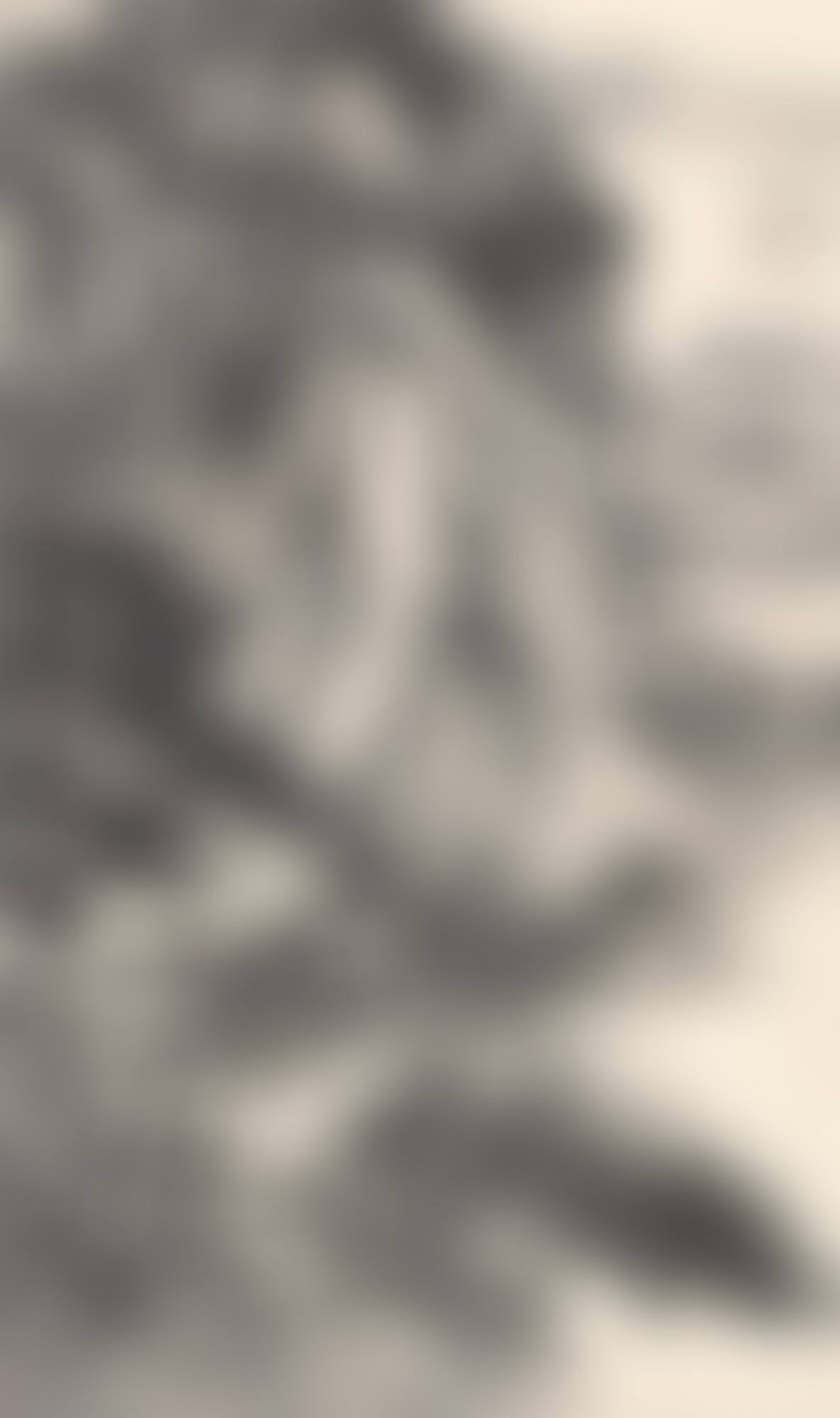 LANDSCAPE AFTER DUNG YUAN (preview)