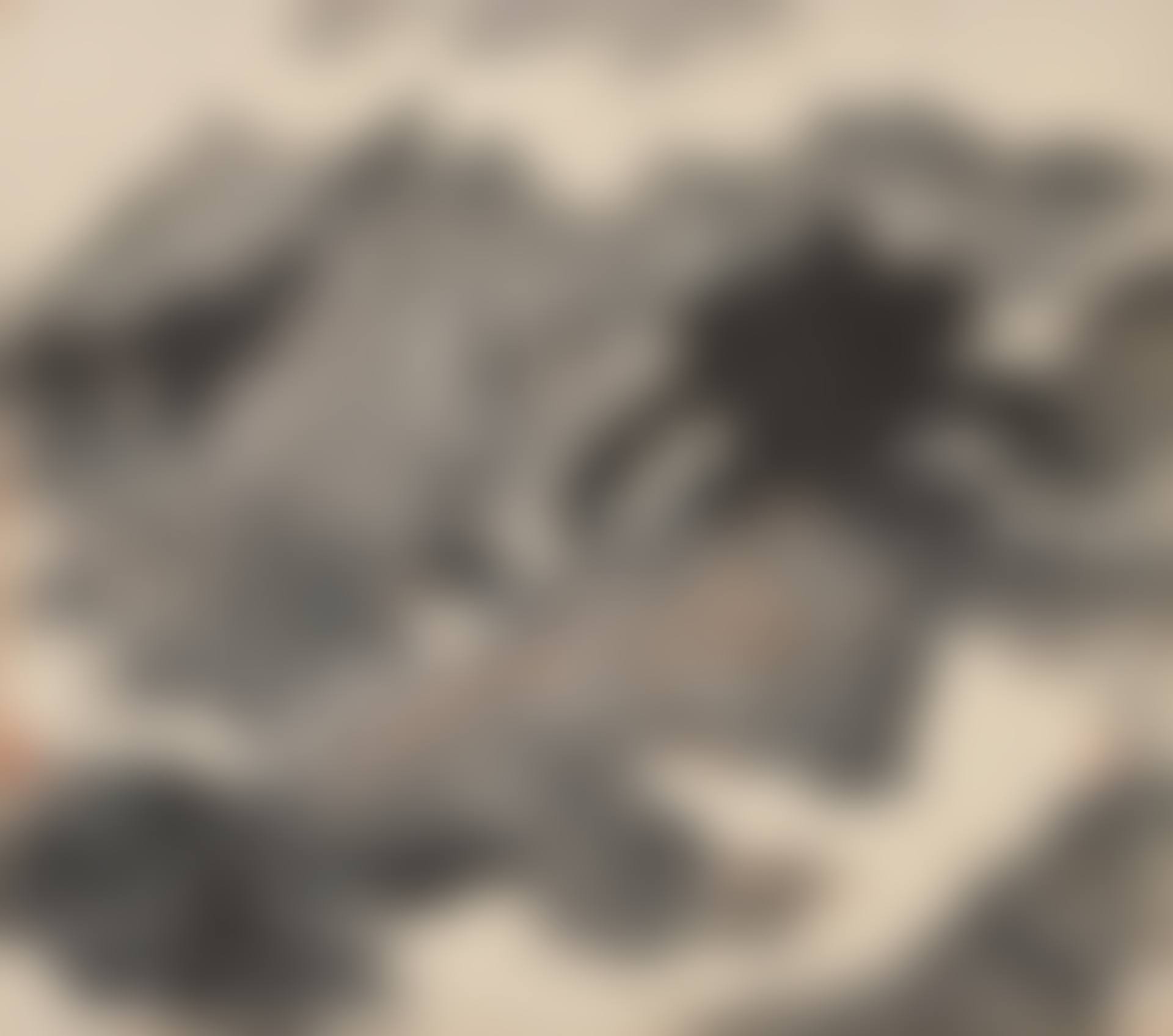 MISTY SCENERY (preview)