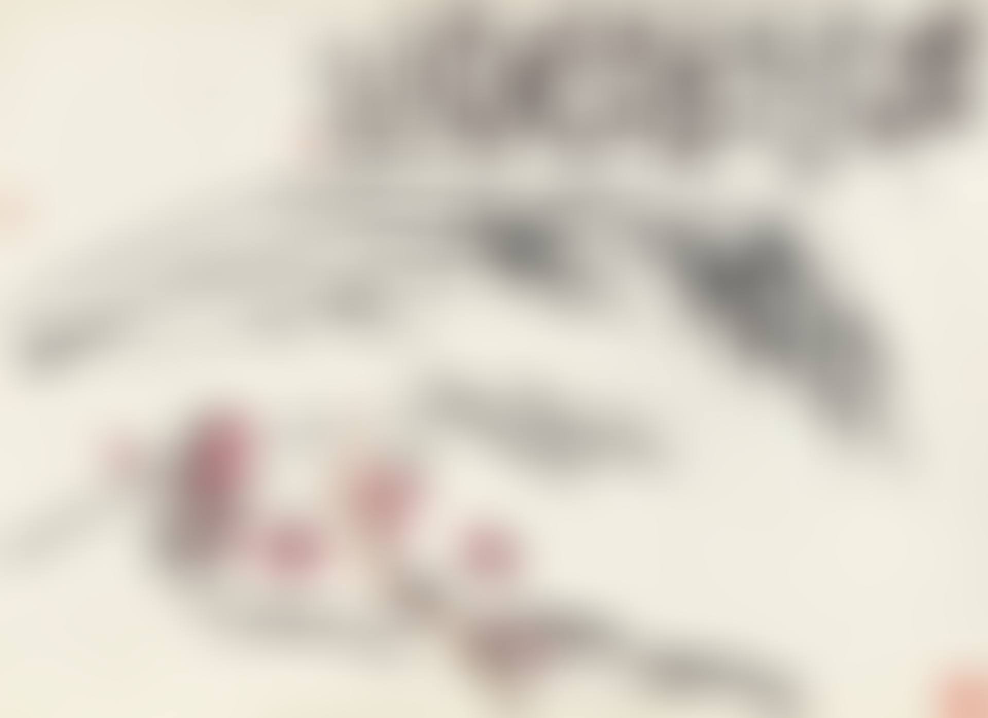 PLUM BLOSSOMS AND WILLOW (preview)