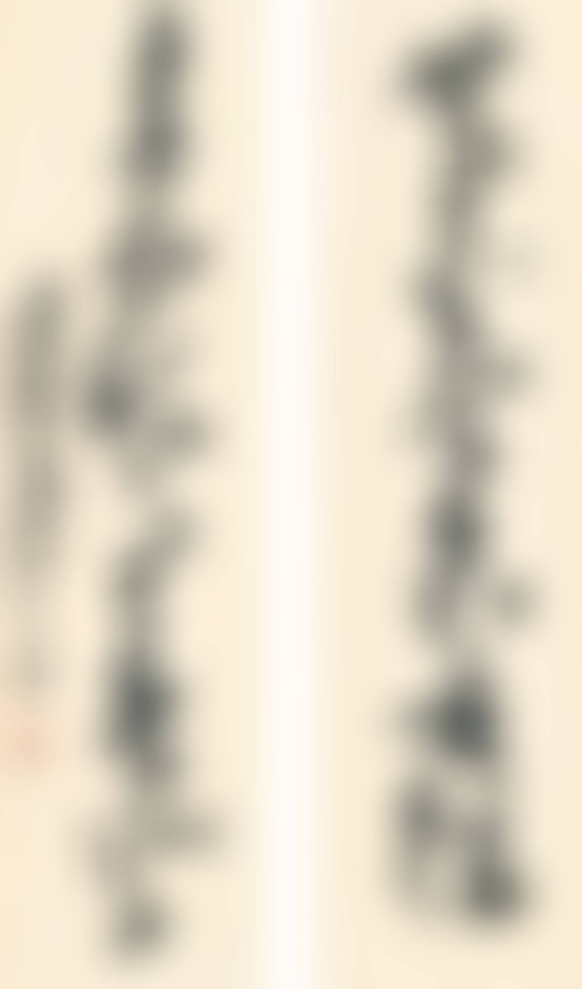 CALLIGRAPHY COUPLET IN CAOSHU (preview)