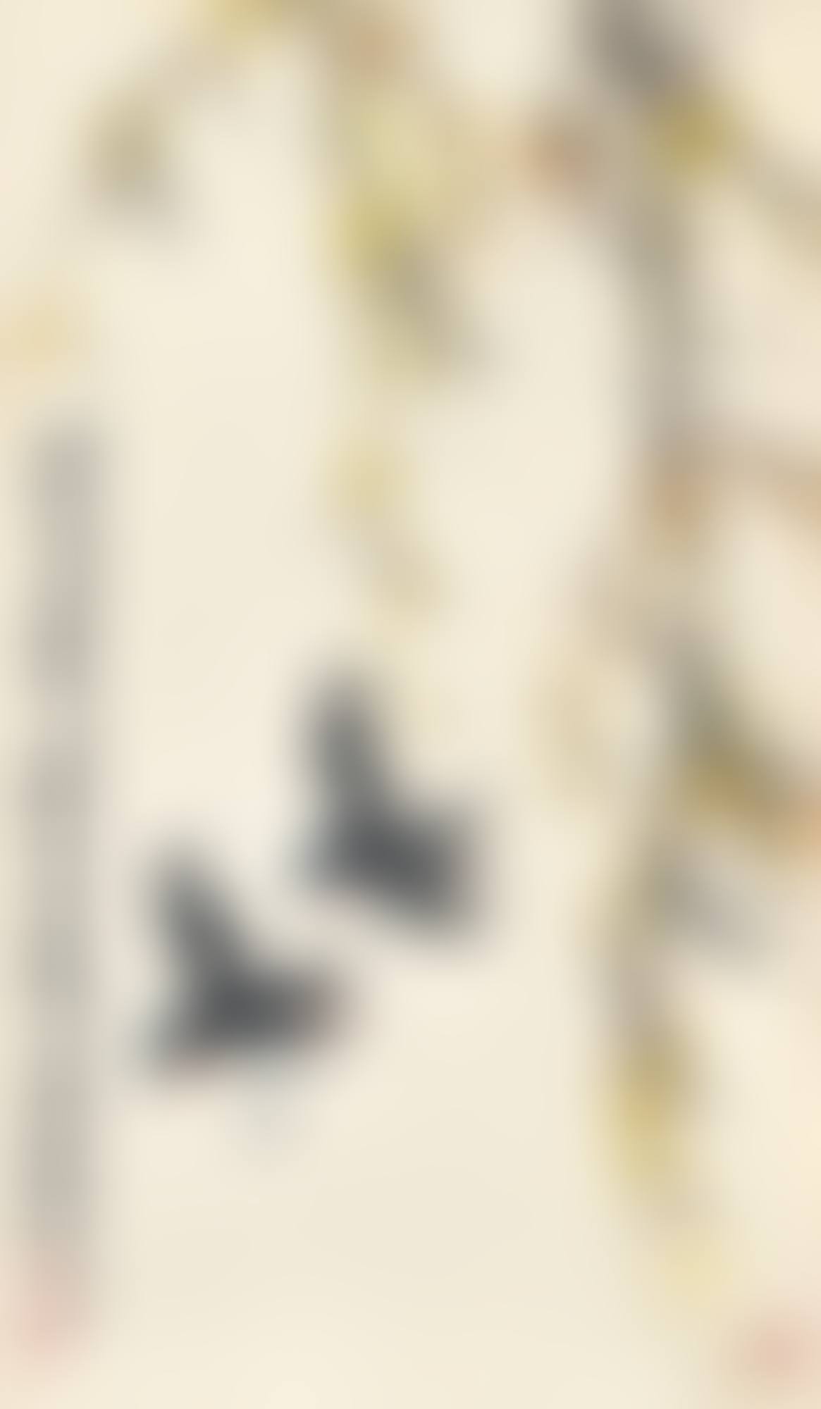 SWALLOWS BY THE WILLOWS (preview)
