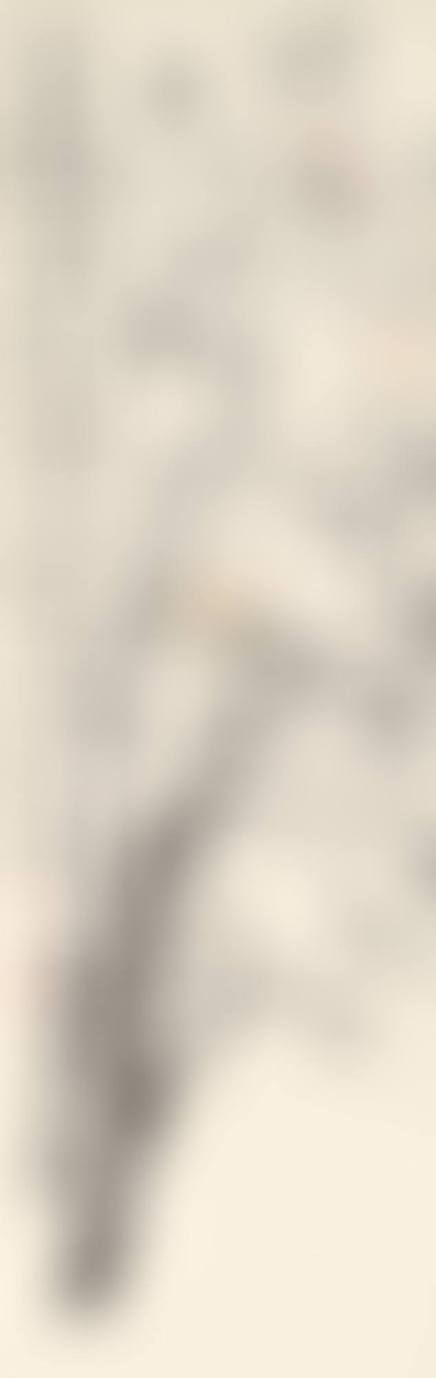 MAGNOLIA (preview)