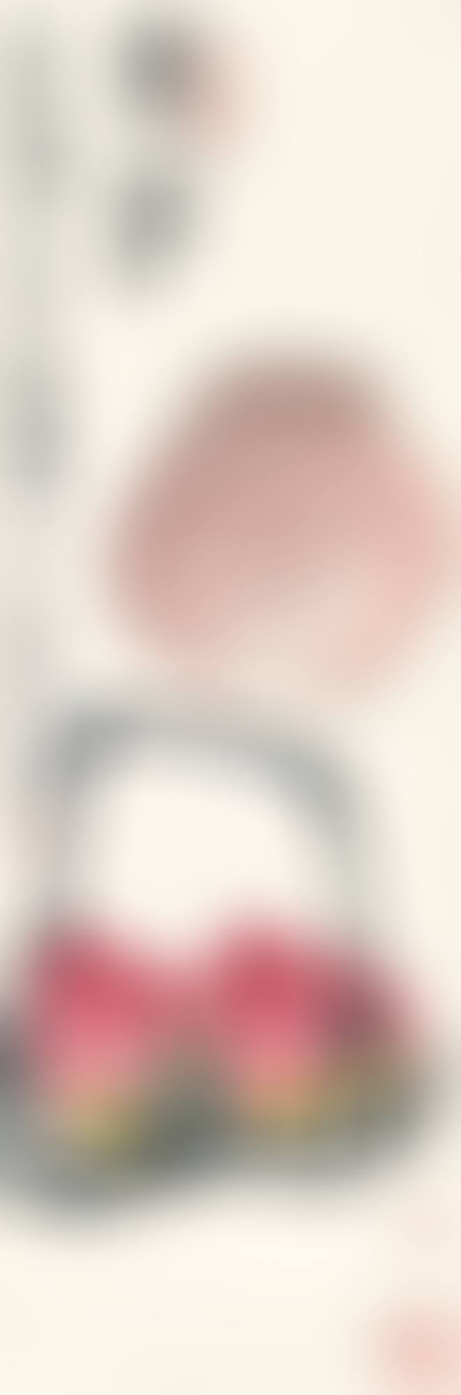 LONGEVITY PEACHES AND WINE (preview)