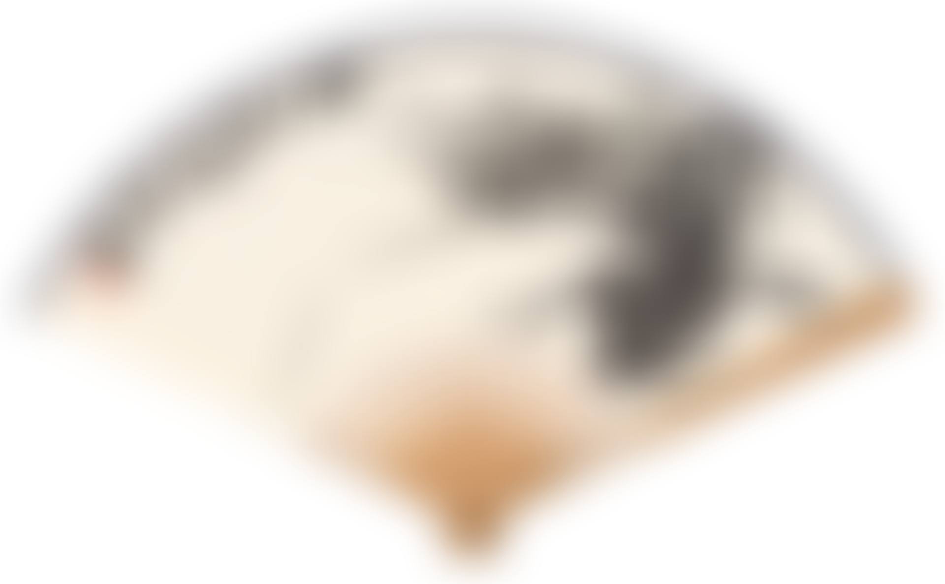 CRABS BY THE REED GROVE (preview)