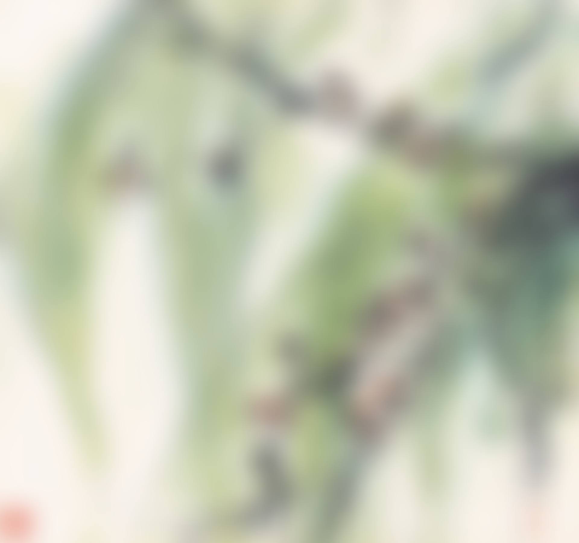 BIRDS PERCHING ON THE WILLOWS (preview)
