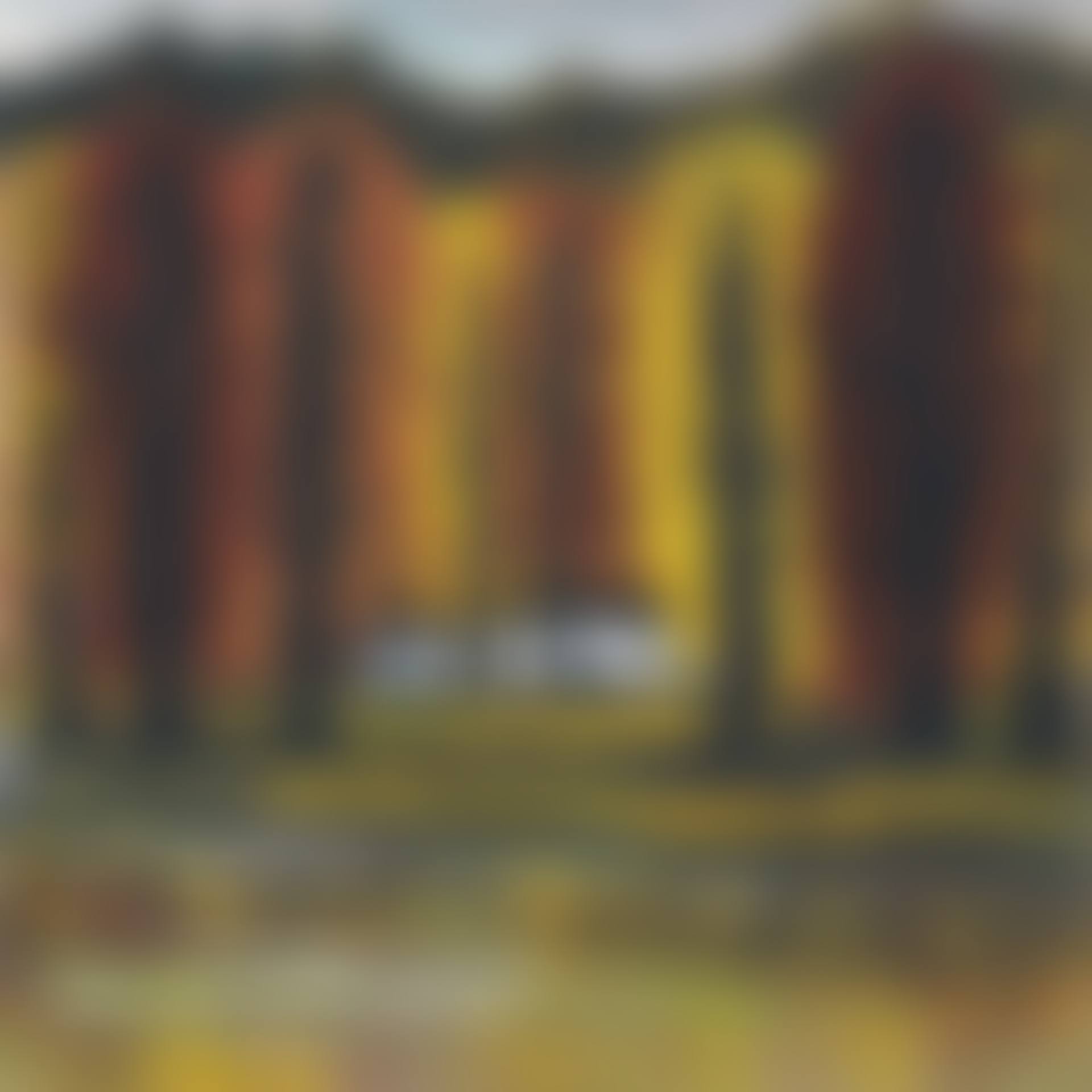 AUTUMN WOODS (preview)