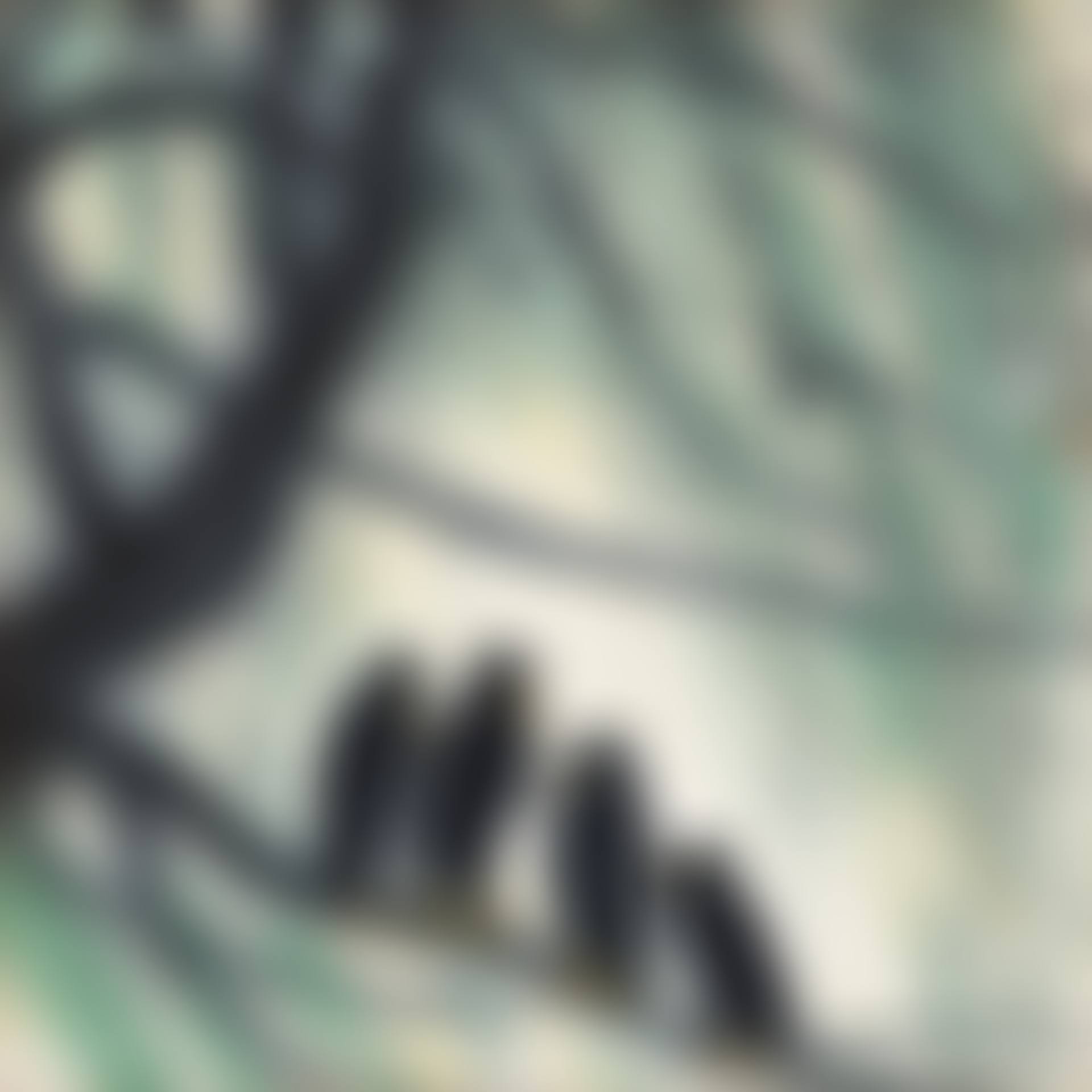 FOUR MAGPIES ON THE BRANCH (preview)