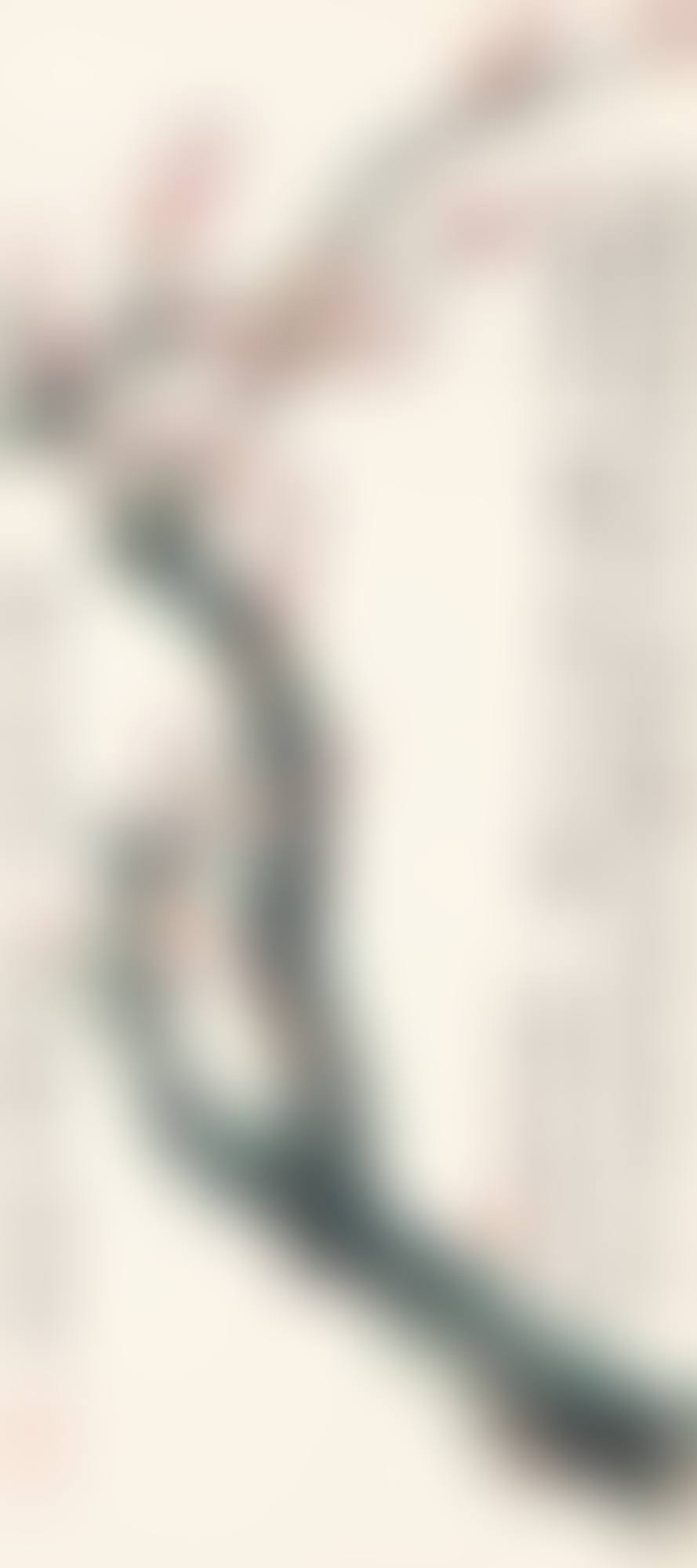 RED PLUM BLOSSOMS (preview)
