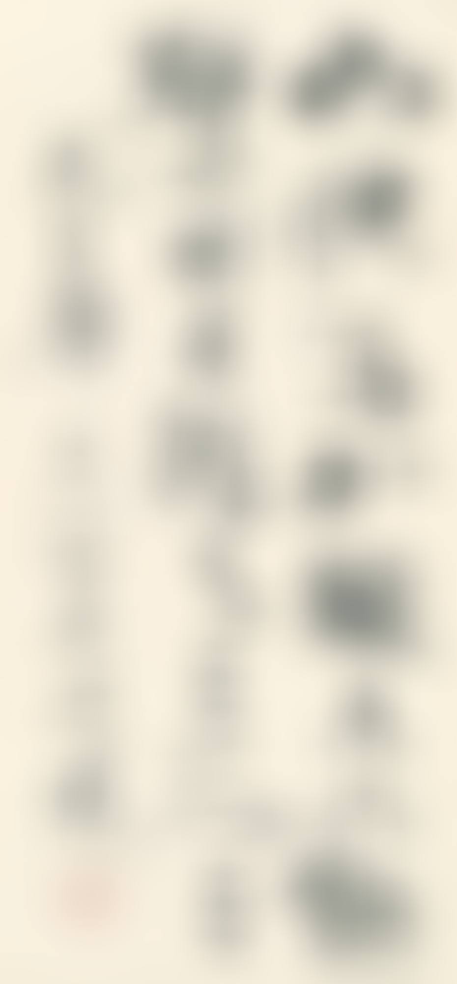 POEM IN CAOSHU (preview)