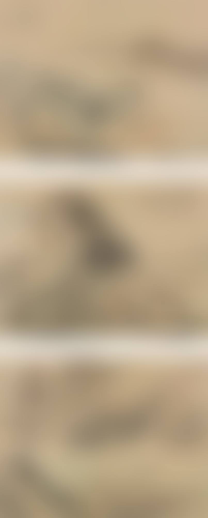 LANDSCAPES AFTER ANCIENT ARTISTS (preview)