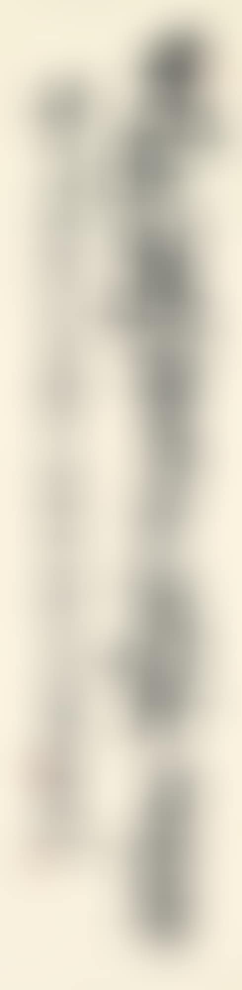 POEM IN XINGSHU (preview)