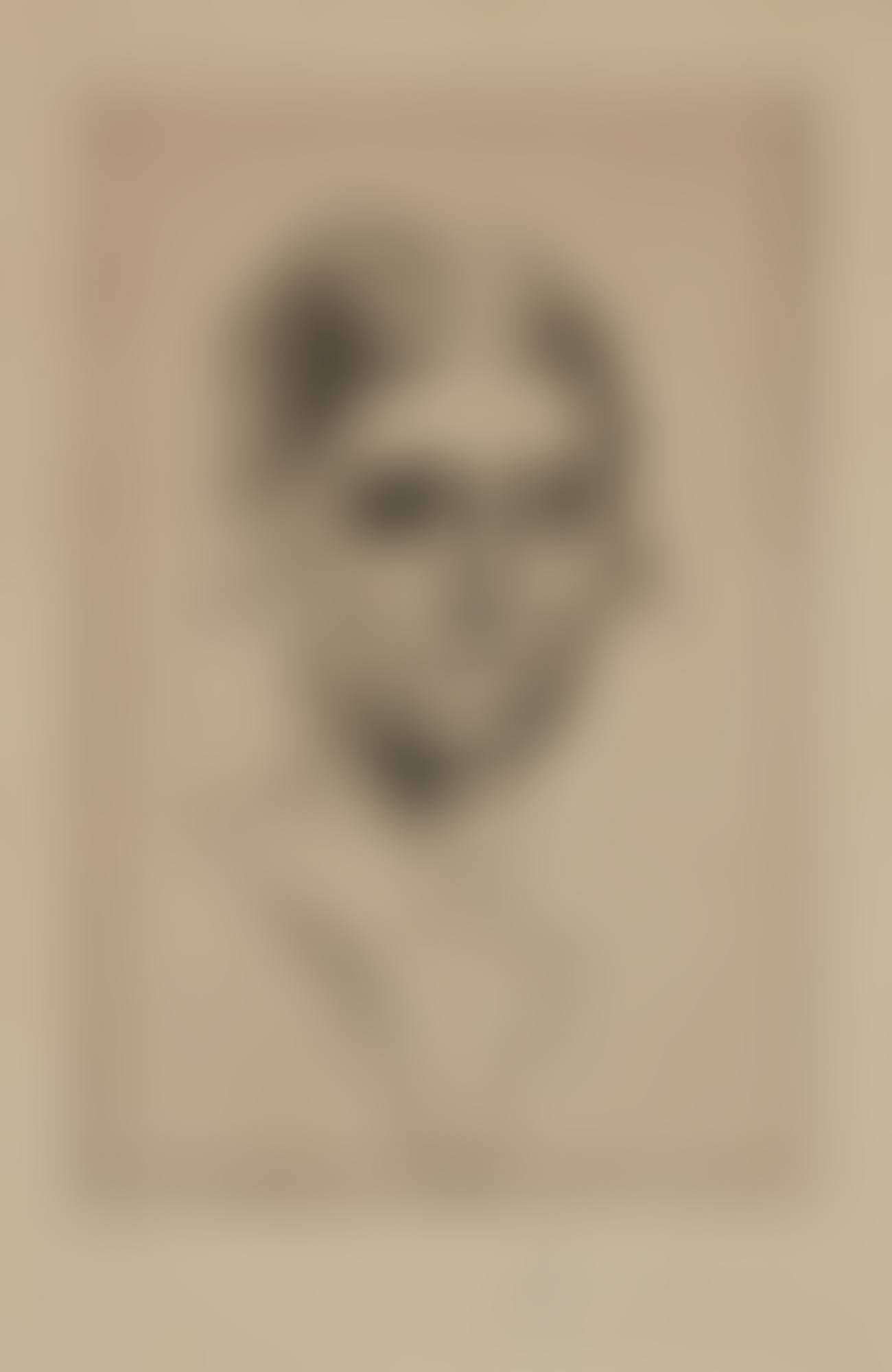 PORTRAIT D'OLGA PICASSO (B. 37; BA. 57) (preview)