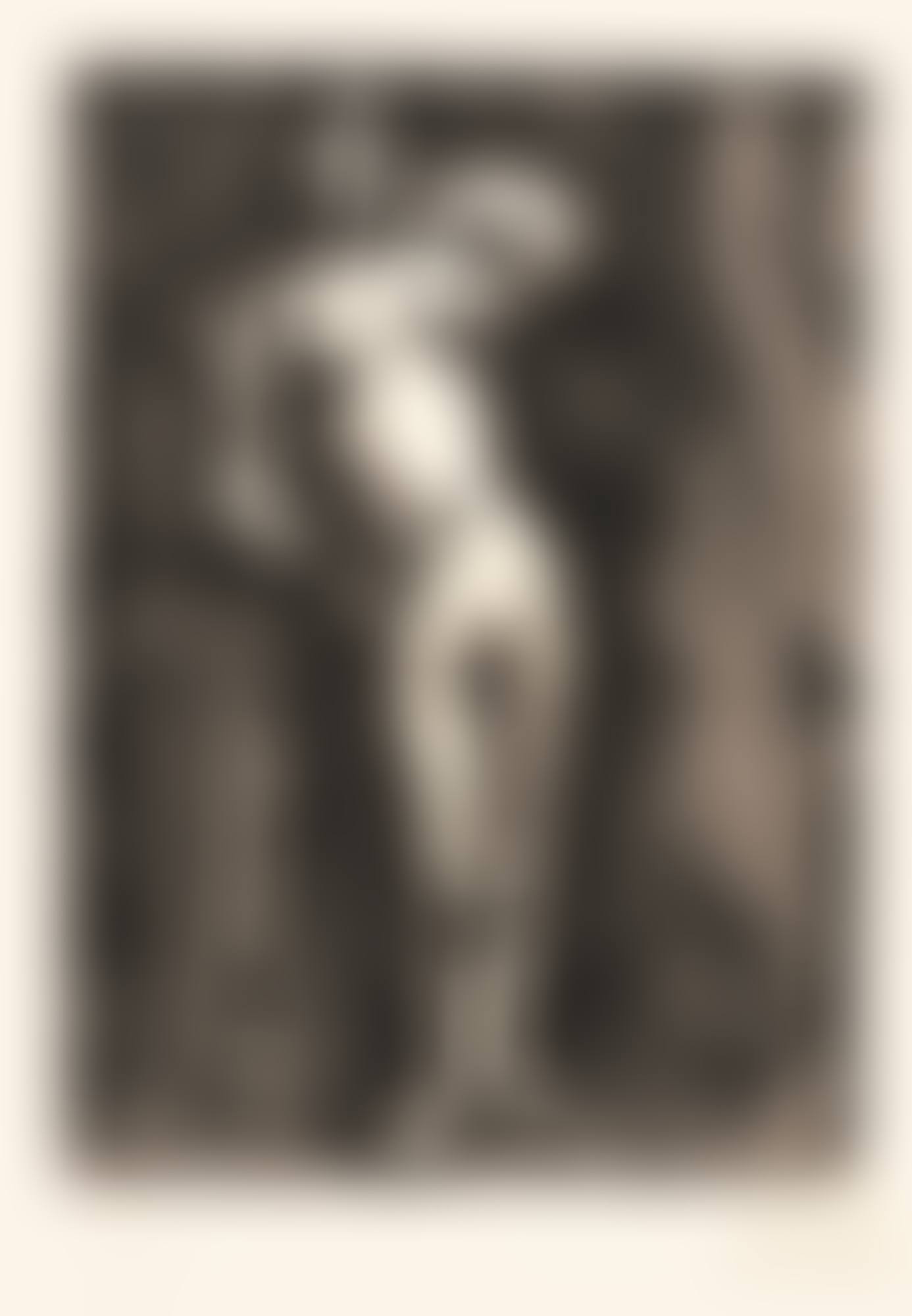 NU ACCOUDÉ (B. 1190; BA. 1159) (preview)