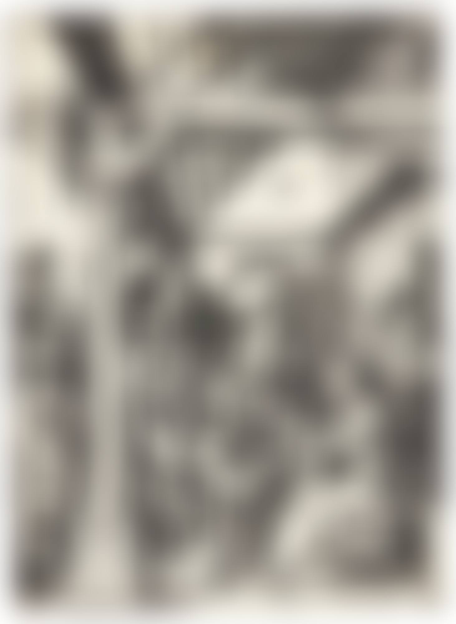 THE ADORATION OF THE MAGI (B. 3; M., HOLL. 208) (preview)